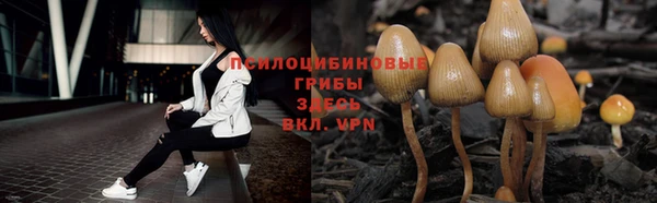 дурь Армянск